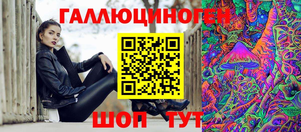 Галлюциногенные грибы Psilocybe Десногорск