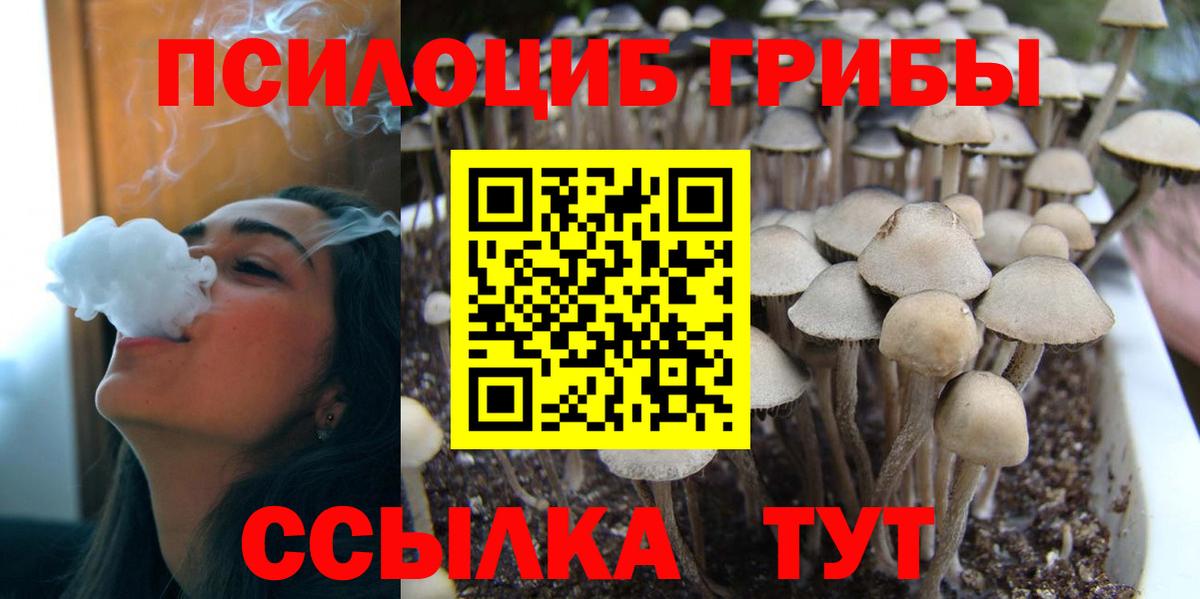 Галлюциногенные грибы Psilocybine cubensis  Вход с VPN  Десногорск  Псилоцибиновые грибы MAGIC MUSHROOMS 